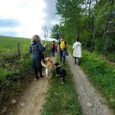 Cabot Caboche - Éducation Canine