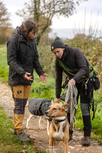 Educ de Wouf – Éducateur et Comportementaliste Canin Entre les Sables-d’olonne et la Roche-sur-yon
