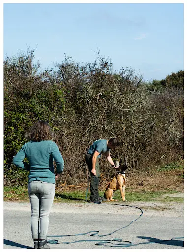 Education Pawsitive - Educateur et Comportementaliste Canin