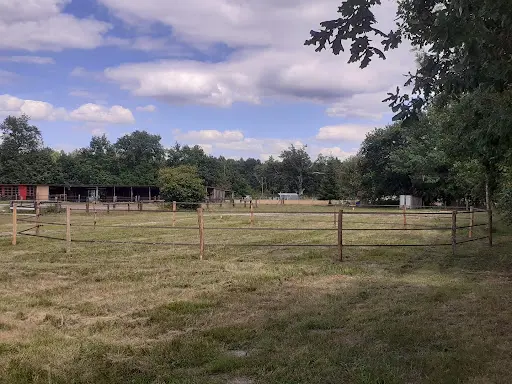 Écurie Astrada – Poney Club & Pension Pour Chevaux À Sainte-hélène (médoc)