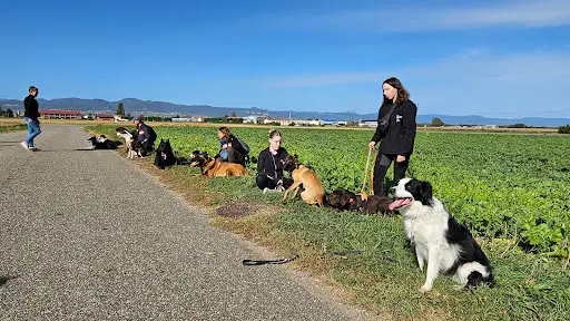 Centre Canin K9 Educ Pro