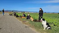 Centre Canin K9 Educ Pro