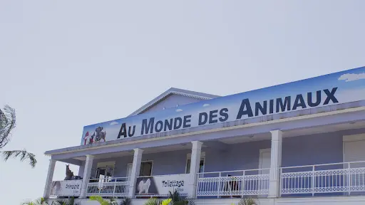 Animal City-rivière des Pluies