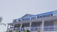Animal City-rivière des Pluies