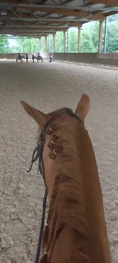 Cheval Notre Passion