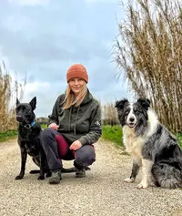 Éducateur Canin - Newcollie