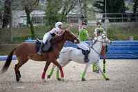 Club Hippique Maximois