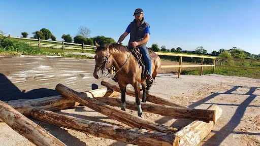 Normandy West Horse, Entreprise Individuelle