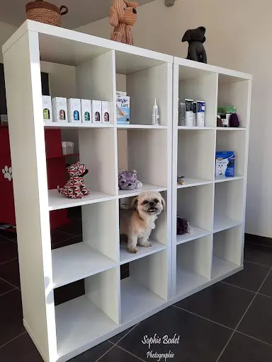 Boule de Poil Salon de Toilettage Canin