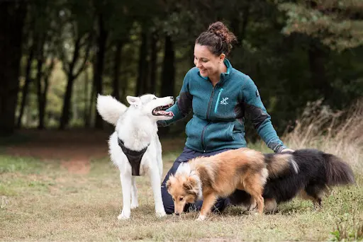 Educateur Canin & Comportementaliste Canin - Laura Tous en Vadrouille - Sainte Pazanne et Bouguenais (44)