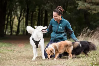 Educateur Canin & Comportementaliste Canin - Laura Tous en Vadrouille - Sainte Pazanne et Bouguenais (44)