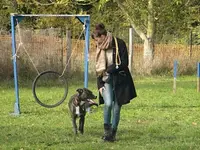 Coach de Vie Canine