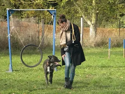 Coach de Vie Canine