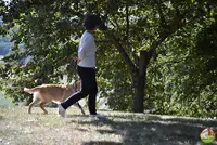 Aikenka Education Canine