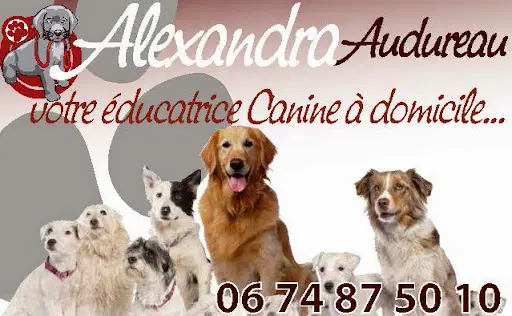 Cani-coach Paca