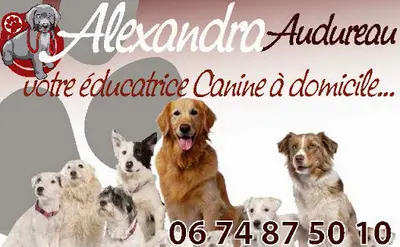 Cani-coach Paca