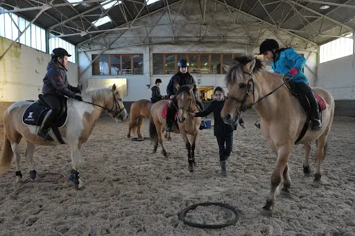 Centre Equestre des Deux Rives