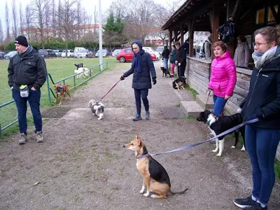 Club Canin de Bischheim