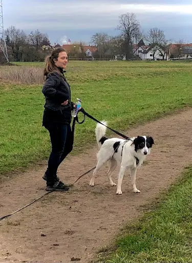 Educateur Canin À Domicile Strasbourg Arcanine