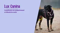 Lux Canina - Comportementaliste et Éducatrice Canin