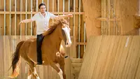 Moniteur d'Équitation Jérôme Rotard