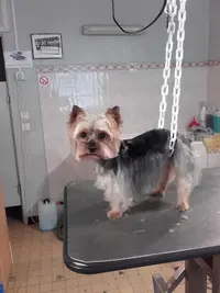 A la Belle Frimousse
