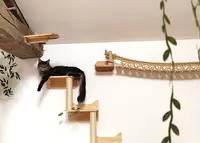 Hôtel le Chat Perché