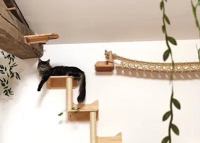 Hôtel le Chat Perché
