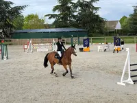 Haras des Vignes