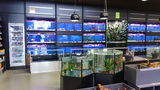 Magasin Vert Dinan / Taden