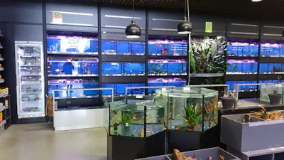 Magasin Vert Dinan / Taden
