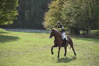 Equinatur Eau
