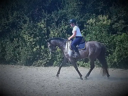 Le Pré Danseur