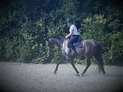 Le Pré Danseur