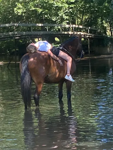 Ferme Equestre de Beauregard