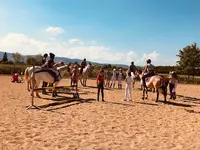 Poney Club de l'Ecluse