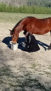 Poney-club des Roustides