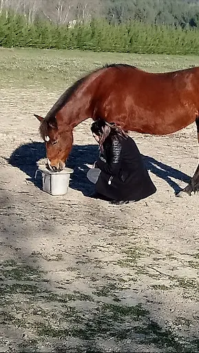 Poney-club des Roustides