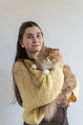 Chatterie de l'Arche de Tiwi (british Shorthair & Longhair)