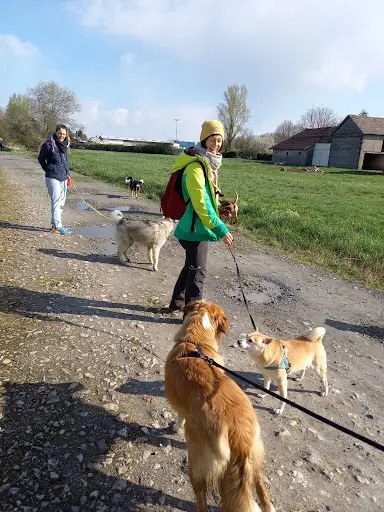 Truffe À l'Air