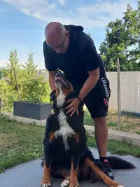 Westdog Éducateur Comportementaliste Canin Diplômé d'État