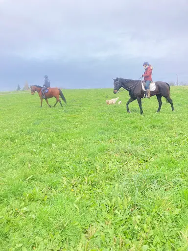 Haras du Triangle Vert