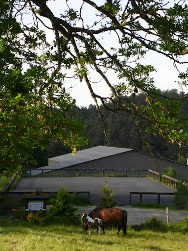 Cheval des Hautes Terres