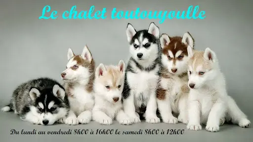 Le Chalet Toutouyoulle