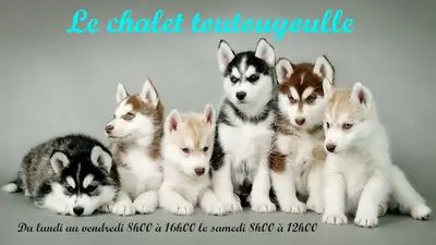 Le Chalet Toutouyoulle
