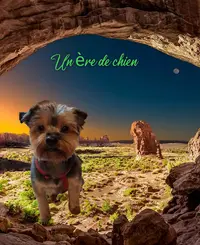 Un Ère de Chien Joane Toilettage Canin sur Tencin