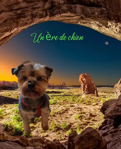 Un Ère de Chien Joane Toilettage Canin sur Tencin