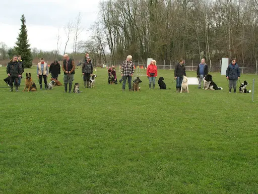 Club d'Éducation Canine de la Vallée du Rieu (cec Quessy)