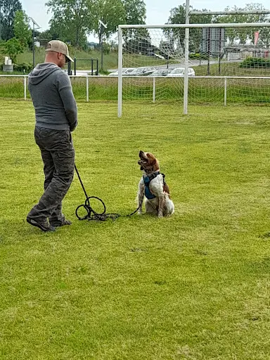 E-h-ccanine. Éducatrice Canin Virginie Lafontan
