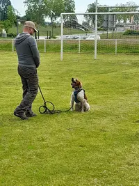 E-h-ccanine. Éducatrice Canin Virginie Lafontan